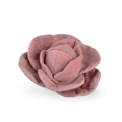Cabbage Pop enrichment dog toy