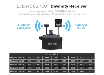 EV800D FPV True Diversity FPV Goggles w/ DVR