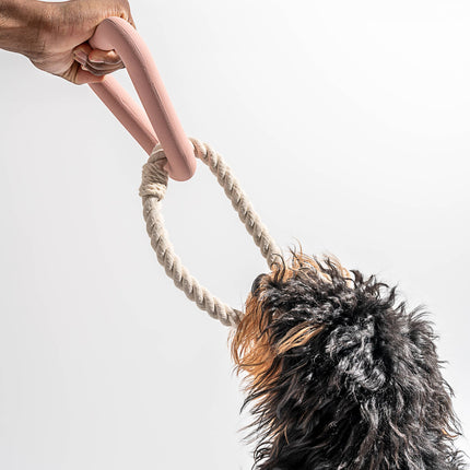 Triangle Tug Dog Chew Toy