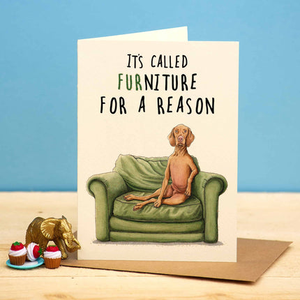 Furniture Everyday Dog Card