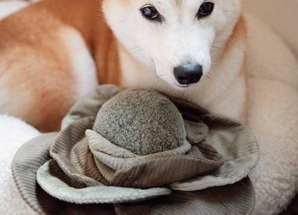 Cabbage Pop enrichment dog toy