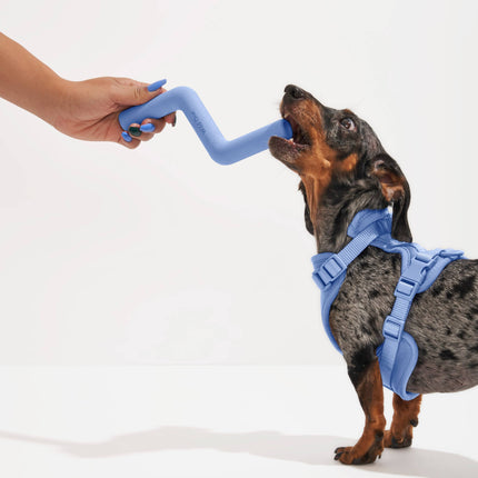 Bolt Bite Dog Chew Toy