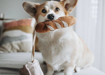 Mini Baguette enrichment dog toy