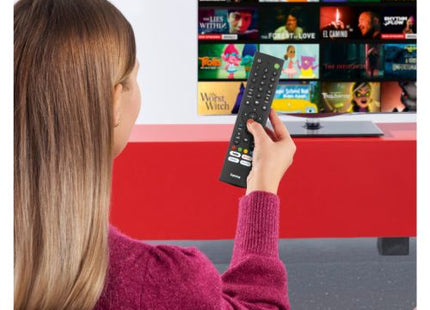 Hama Universal TV Remote Control For Sony