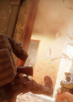 Insurgency Sandstorm PS4