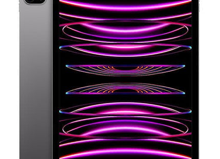 iPad Pro 11 (2022) 256GB Wi-Fi Cellular  | Unlocked
