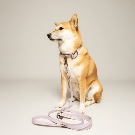 Kitsunē Multiposition dog lead - BioThane®