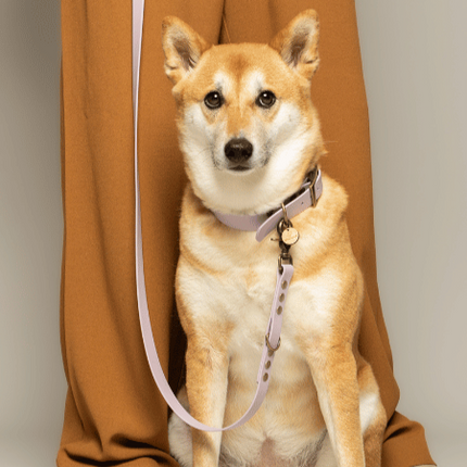 Kitsunē Multiposition dog lead - BioThane®