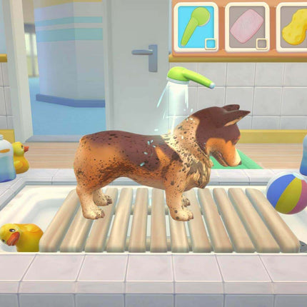 Maximum Games My Universe Pet Clinic PS4