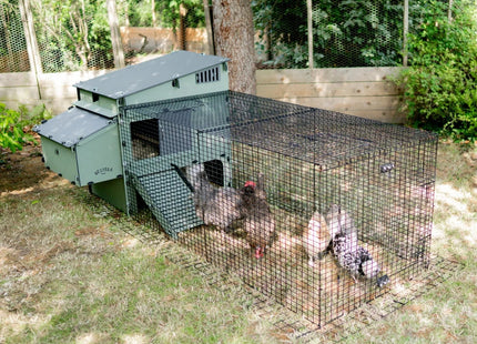 Nestera Aspen 6 Chicken coop for up to 5-6 Birds