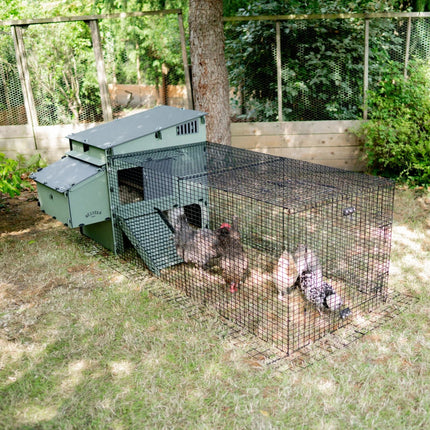 Run for Nestera Aspen 6 Chicken coop
