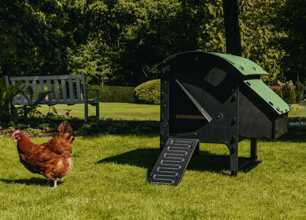 Nestera Small Lodge Chicken Coop for 2-3 Large Birds