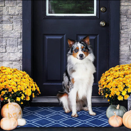 Door Mat 60x90cm Non Slip Washable Indoor Outdoor Entrance Mat Mibao