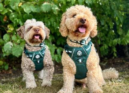 Rugged Rover™ Harness - Forest Green