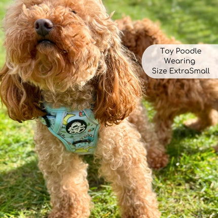 Rugged Rover™ Harness - Jurassic Party