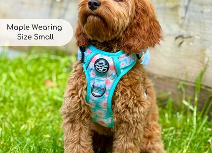 Rugged Rover™ Harness - Pastel Daisy