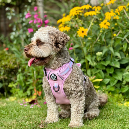 Rugged Rover™ Harness - Pastel Pink