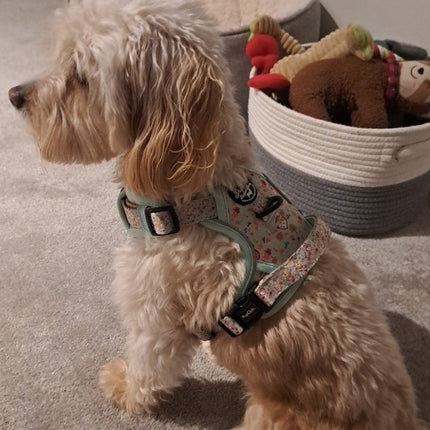 Rugged Rover™ Harness - Woodland Friends