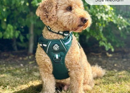 Rugged Rover™ Harness - Forest Green