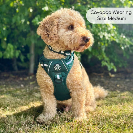 Rugged Rover™ Harness - Forest Green