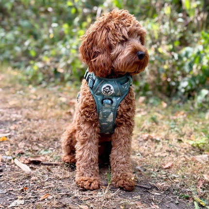 Rugged Rover™ Harness - Evergreen Trails