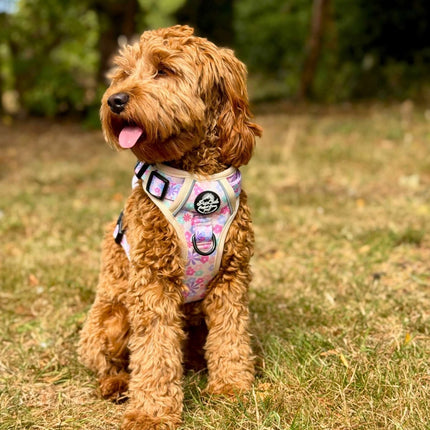 Rugged Rover™ Harness - Pretty Petals