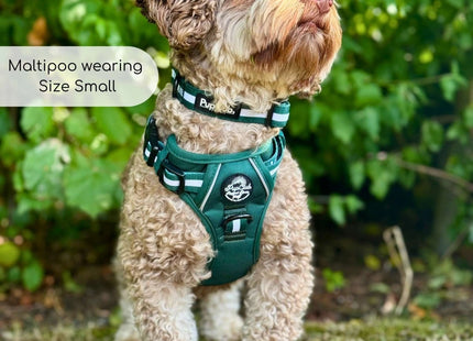 Rugged Rover™ Harness - Forest Green