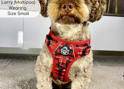 Rugged Rover™ Harness - Red Tartan