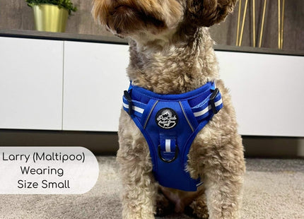 Rugged Rover™ Harness - Royal Blue