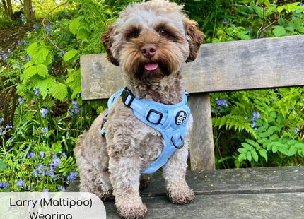 Rugged Rover™ Harness - Pastel Blue
