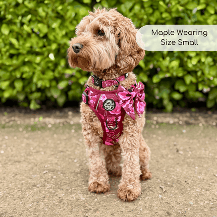 Rugged Rover™ Harness - Burgundy Bloom