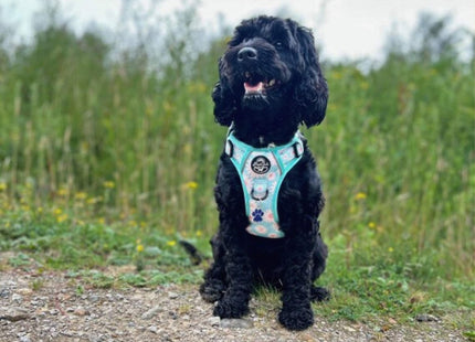 Rugged Rover™ Harness - Pastel Daisy