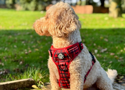 Rugged Rover™ Harness - Red Tartan