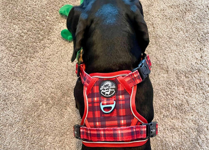 Rugged Rover™ Harness - Red Tartan
