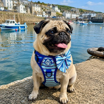 Rugged Rover™ Harness - Sea Breeze Stripes