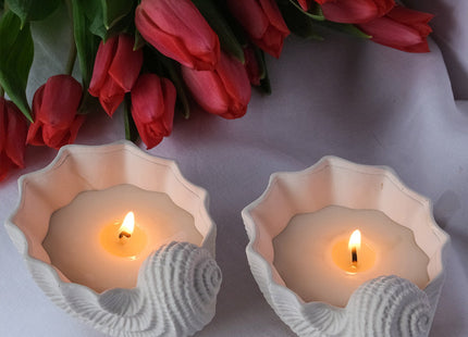 Seashell Shaped Candle - Scented