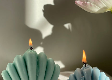 Shell Shaped Candle