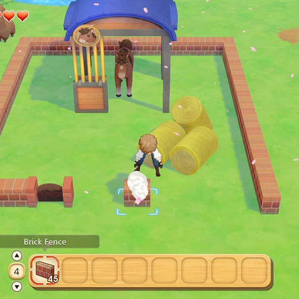 Story of Seasons Pioneers Of Olive Town Nintendo Switch