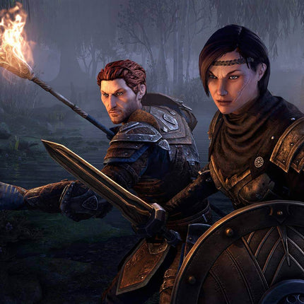 The Elder Scrolls Online: Blackwood Edition for PS4