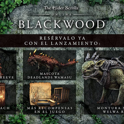 The Elder Scrolls Online: Blackwood Edition for PS4