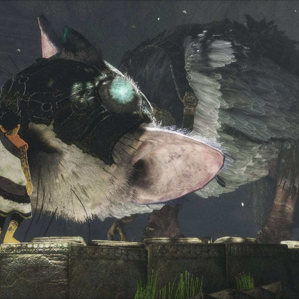 The Last Guardian PS4
