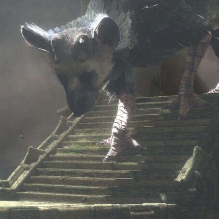 The Last Guardian PS4