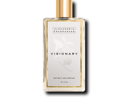 Visionary Inspired By Imagination LV Louis Vuitton