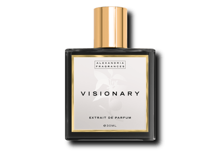 Visionary Inspired By Imagination LV Louis Vuitton