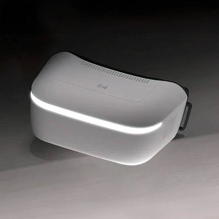Caddx / Walksnail Avatar HD FPV Goggles L