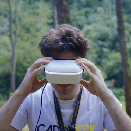 Caddx / Walksnail Avatar HD FPV Goggles L