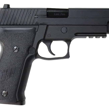 WE Sig F226 / P226 GBB with Rail